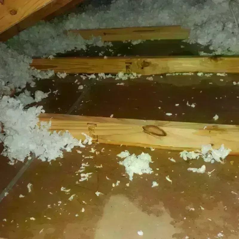 Attic Water Damage in Saint Louis, MI