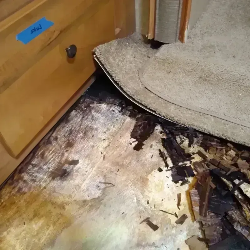 Best Wood Floor Water Damage Service in Saint Louis, MI